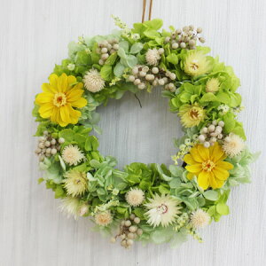 yPlaine@v[kzMTCY@a18cm ӂƗD͋C̃[X vU[uht[ hCt[ A[eBtBVt[gp yvUz yyMt_zyyMt_