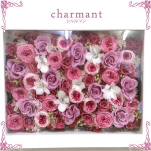 vU@̓ɂ@ʂȑ蕨ɁIN̑蕨*@l܂Ԕ݂ȕǊ|zAWyV}@`charmant`zyyMt_zyyMt_bŹz
