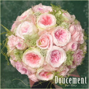 yzuC_ vU EFfBO@sNXC[gȃEhu[PyhD[X}@`Doucement`z u[gjAtyvU vU[uh uU[h t| MtgzyyM