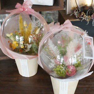 @vU[uht[@ԑ@ANo[@̓@a@蕨@j@Vzj@oY@}@ސE@j@hCt[@yANo[t[z