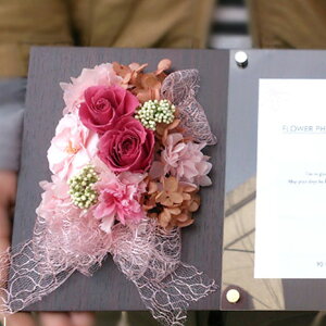 yRlbTX@`reconnaissance`zvU@VbNȃtHgt[ɉ؂₩ŉȂԂ킹܂̓₨aAjȂǂɁ@AyvU uU[h Mtg 