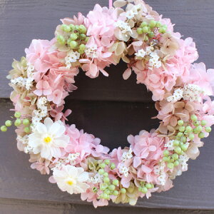 yzypompette |ybgza18cm@sÑAWTCӂƉ炵[X vU[uht[ hCt[gp@a@t@@v[g@j@Vz