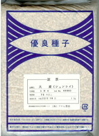 オオムギ種六条大麦シュンライ （1kg）[おおむぎ 大麦 栽培用 種子 食用向け品種]