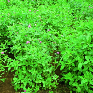 N[o[y@icE@z^LCc@500O