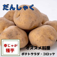 ※スーパーSALE　最終在庫　じゃがいも 種芋 【　男爵　】 種芋 馬鈴薯 栽培用 定番のホクホク感! コロッ…
