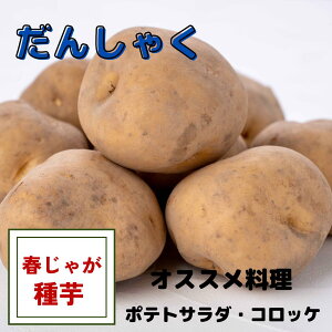 �y���ʌ���I�z�y���������I�z���Ⴊ���� ��� �j�� ��� �n�鏒 �͔|�p ��Ԃ̃z�N�z�N��! �R���b�P �|�e�g�T���_ �ɍœK ���񂵂Ⴍ ��Ă₷��