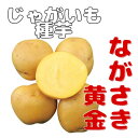 ※7月下旬～8月上旬発送【7月31日までポイント2倍】ジャガイモ種芋【　ながさき黄金　】サイズ混合