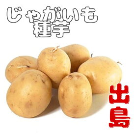 ※8月下旬入荷後発送じゃがいも種芋【　出島　】2Sサイズ〜 【検品合格済品】