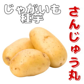 ※7月下旬～8月上旬発送【7月31日までポイント2倍】ジャガイモ種芋【　さんじゅう丸（西海30号）】 2S〜サイズ混合