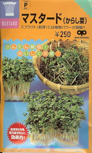 XvEgy@}X^[hi炵؁jz  i͔|p q Ղ炤 n j