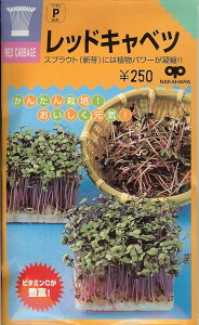 XvEgy@bhLxc@z i͔|p q Ղ炤 n j