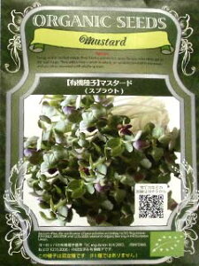 L@qy@}X^[h@z i͔|p q XvEgj