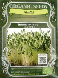 L@qy@fBbV / JC卪@z i͔|p q XvEgj