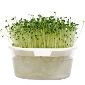 L@qy@P[@z i͔|p q XvEgj