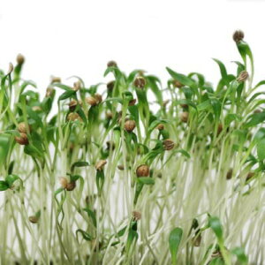 L@qy@pN`[ / RA_[@z i͔|p q XvEgj