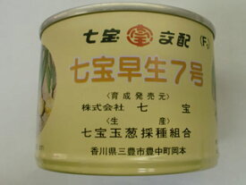 ※9月入荷予定タマネギ種【　七宝早生七号　】（栽培用 種子 たまねぎ 玉ねぎ 玉ネギ 玉葱）