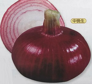 ^}lMy@́Xԁ@z20ml i傤傤 ͔|p q ܂˂ ʂ˂ ʃlM ʔK ^LCj