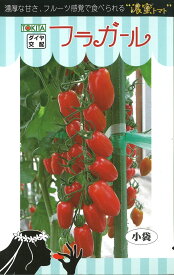 ミニトマト種【　フラガール　】（栽培用 種子 トキタ種苗）