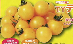 q100rg}gy@TYeBG@zigc