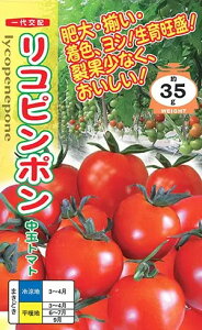 q܁E500rg}gy@Rs|@zigc