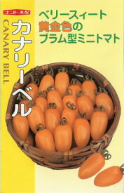 〈小袋・500粒〉ミニトマト種【　カナリーベル　】ナント種苗
