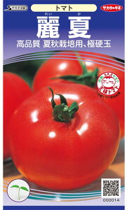 藦ۏ؊10܂Ńg}gy@ā@zTJ^̃^l