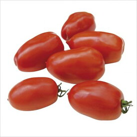 有機種子【　トマト / イタリアントマト / サンマルツァーノ　】小袋 （栽培用 種子 果菜）