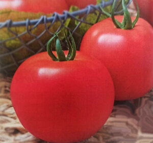 q1000ER[g1000rg}gy@Y_[@z^LCc