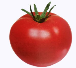 V12ȍ~ח\g}gy@z[Y@z^LCc