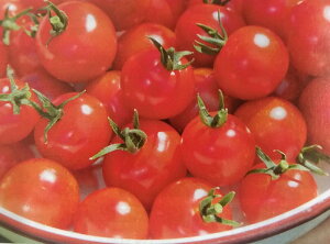 V12ȍ~ח\~jg}gy@ʁ@z^LCc