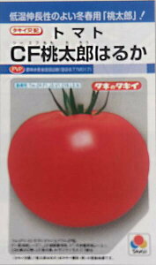 qDF܁E1000ER[g1000rg}gy@CFY͂邩@z^LCc