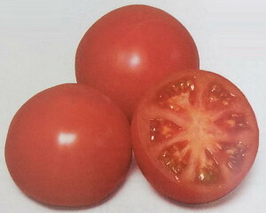 qPRIMAX 1000rg}gy@e@zTJ^̃^l