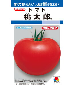 藦ۏ؊10܂Ńg}gy@Y@z^LCc