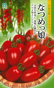 ~jg}gy@Ȃ߂@zi͔|p q ێ j