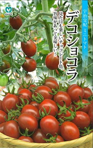 ~jg}gy@fRVR@zi͔|p q ێ j