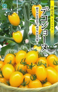 ~jg}gy@fRW[k@zi͔|p q ێ j