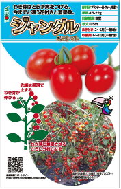 ミニトマト種【　ジャングルトマト　】（栽培用 種子 トキタ種苗）