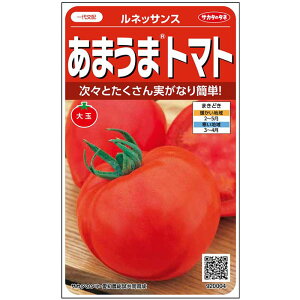 V12ȍ~ח\ʃg}gy@lbTX@z珬܁@TJ^̃^l