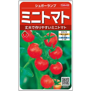 V12ȍ~ח\~jg}gy@VK[v@z珬܁@TJ^̃^l