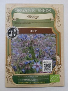 L@qy@{W@z i͔|p q n[u̎j