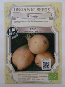 L@qy@Ju / bJu^Cv@z i͔|p q ؁j