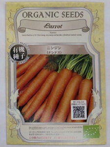 L@qy@jW / ieX@z i͔|p q ؁j