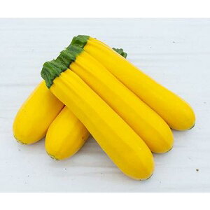 q100rYbL[jy@XCG[V@zigc