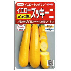 V12ȍ~ח\YbL[jy@CG[O}@z@TJ^̃^l