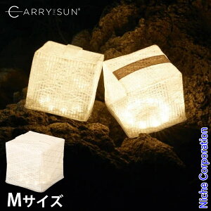 CARRY THE SUN(�L�����[�E�U�E�T��) ���C�g �E�H�[�����C�g �~�f�B�A�� �z���C�g 24032 �����^�� LED �\�[���[���C�g �܂肽���� �y�� M�T�C�Y �\�[���[�����^�� �A�E�g�h�A �L�����v ���z�� LED ��
