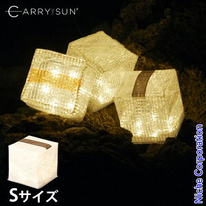 CARRY THE SUN L[EUET Cg EH[Cg X[ ubN 24038 ^ [d \[[ LED ܂ y STCY \[[^ AEghA Lv z LED ܂
