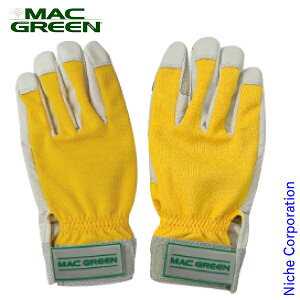 }bNX MAX X̒ hU I΍J[ MAC GREEN MT885 }bNO[ hU  Ԃ ĂԂ O[u `F\[ `F[\[  蕥  Ŋ