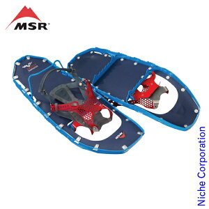 MSR ( GGXA[ ) CgjOAbZg 22C` Rogu[ 40001 AEghA Xm[V[