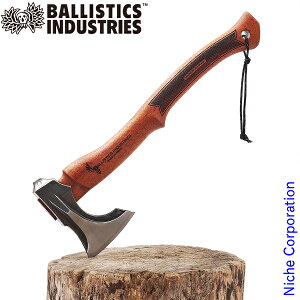 oXeBNX ChAbNX }zKj[ BAA-2103-M  AEghA Im Lv AbNX n d    