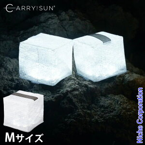 CARRY THE SUN(L[EUET) Cg N[uCg ~fBA ubN 24035 ^ MTCY \[[^ AEghA Lv z LED ܂ h h pCg C